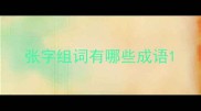 张字组词有哪些成语