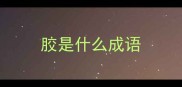 胶是什么成语