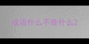 成语什么不胜什么