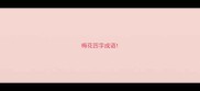 梅花四字成语