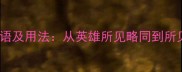 10个看法一致的成语及用法从英雄所见略同到所见略同的深层解读