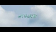 a打头成语