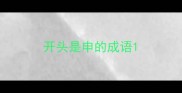 开头是申的成语