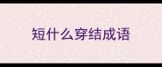 短什么穿结成语