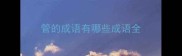 管的成语有哪些成语全