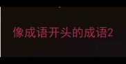 像成语开头的成语