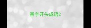 害字开头成语