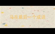 马在最后一个成语