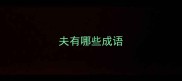 夫有哪些成语