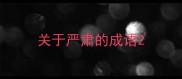 关于严肃的成语