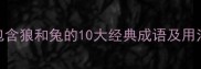 最新整理包含狼和兔的10大经典成语及用法附例句