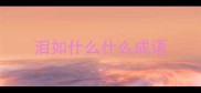 泪如什么什么成语