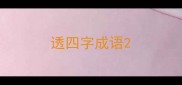 透四字成语