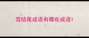 雪结尾成语有哪些成语