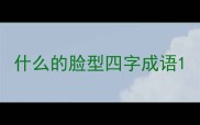 什么的脸型四字成语