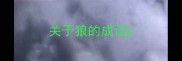 关于狼的成语