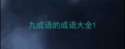 九成语的成语大全