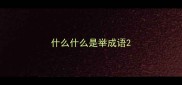 什么什么是举成语