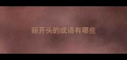 丽开头的成语有哪些