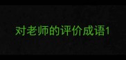 对老师的评价成语