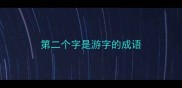 第二个字是游字的成语
