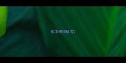 高中成语接龙