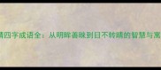 眼睛四字成语全从明眸善睐到目不转睛的智慧与寓意