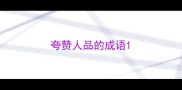 夸赞人品的成语