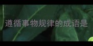 遵循事物规律的成语是