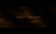 成语九牛一毛什么意思