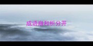 成语崩和析分开