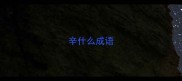 辛什么成语