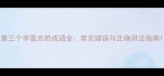 第三个字是言的成语全常见错误与正确用法指南