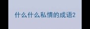 什么什么私情的成语