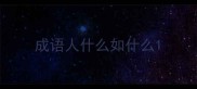 成语人什么如什么