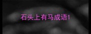石头上有马成语