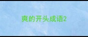 爽的开头成语