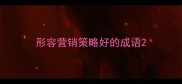 形容营销策略好的成语