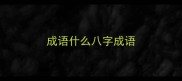 成语什么八字成语