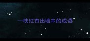 一枝红杏出墙来的成语