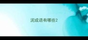 泥成语有哪些
