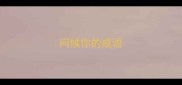 问候你的成语