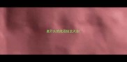 皇开头的成语接龙大全