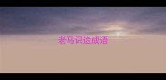 老马识途成语