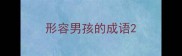 形容男孩的成语