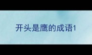 开头是鹰的成语