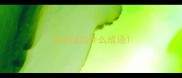 书能组成什么成语