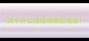 哭中什么成语有哪些成语