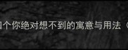 常见鸡字成语第四个你绝对想不到的寓意与用法附文化内涵详解