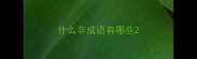什么非成语有哪些